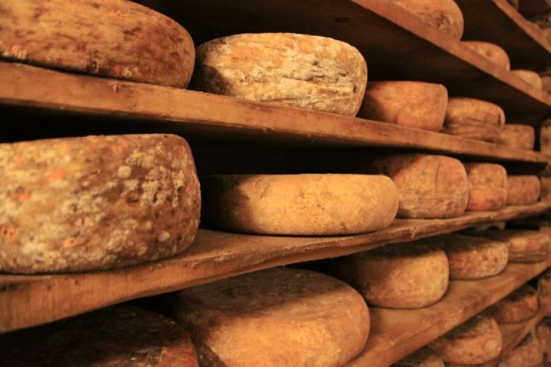 La Fruitière du Plateau Arboisien investit 5,5 M€ dans un nouvel atelier de transformation de fromages