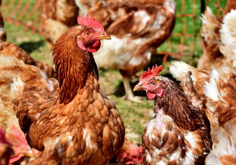 La Ferme du Pré renforce ses capacités de production