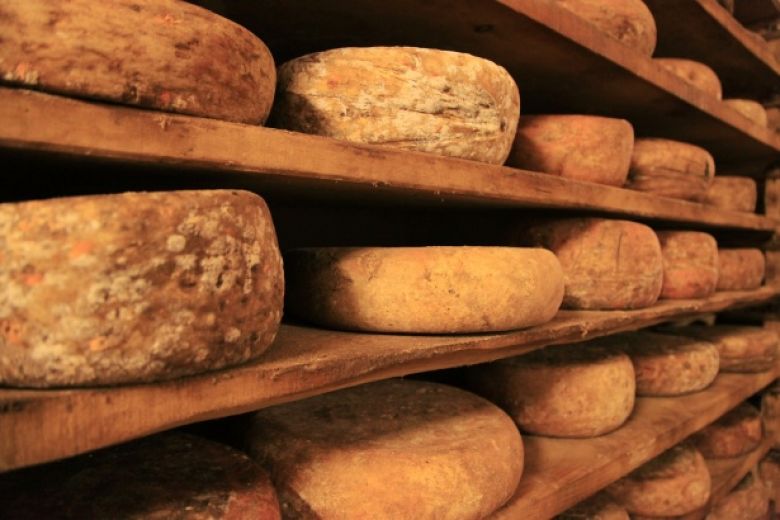 La fromagerie parisienne Alléosse va s'implanter dans la zone de Colguen 2 