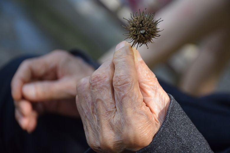 Enclos Saint Léon. L'EHPAD va se doter d'un secteur protégé