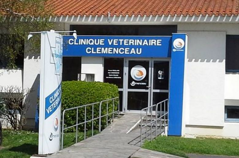 Une extension pour la clinique vétérinaire Clémenceau