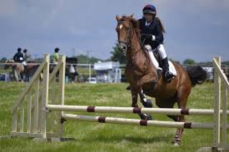 Construction d'un centre d'élevage pour chevaux de compétition